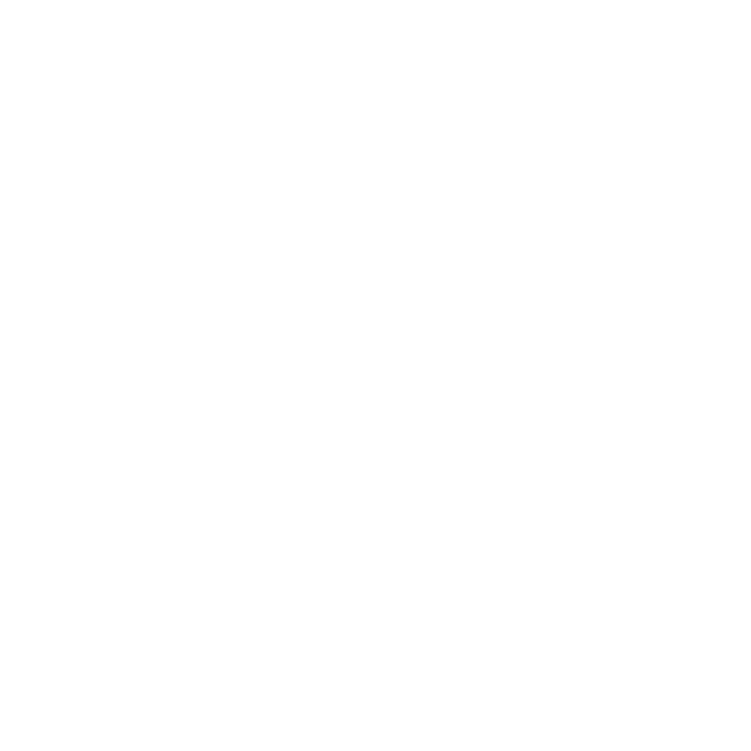 Blitzeblank - Gebäudeservice - diagonale Streifen